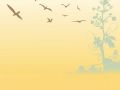 bg bird scene full1440w 160 800 600 80